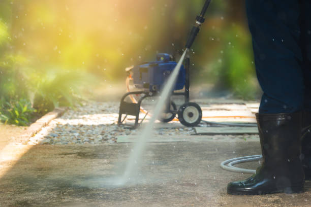 Best Roof Washing  in Waite Park, MN